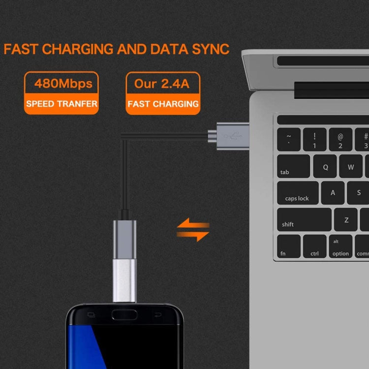 8 Pin Female to USB-C / Type-C Male Metal Shell Adapter