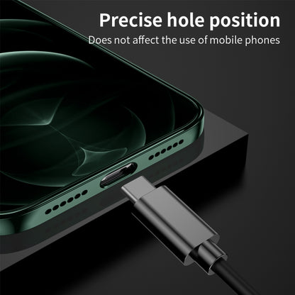 Ultra-thin Electroplating Dandelion Pattern Protective Case, For iPhone 11, For iPhone 11 Pro, For iPhone 11 Pro Max, For iPhone 12 Pro Max, For iPhone 12 Pro, For iPhone 12, For iPhone 12 Mini
