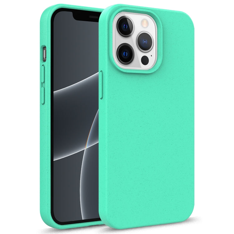 Starry Series Shockproof Straw Material + TPU Protective Case, For iPhone 13, For iPhone 13 mini, For iPhone 13 Pro Max, For iPhone 13 Pro