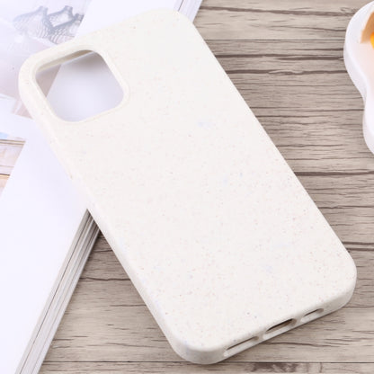 Starry Series Shockproof Straw Material + TPU Protective Case, For iPhone 13, For iPhone 13 mini, For iPhone 13 Pro Max, For iPhone 13 Pro