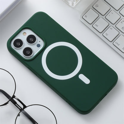 Silicone Magsafe Phone Case, For iPhone 13 Pro Max, For iPhone 13 Pro, For iPhone 13, For iPhone 13 mini, For iPhone 12 Pro Max, For iPhone 12 / 12 Pro, For iPhone 12 mini