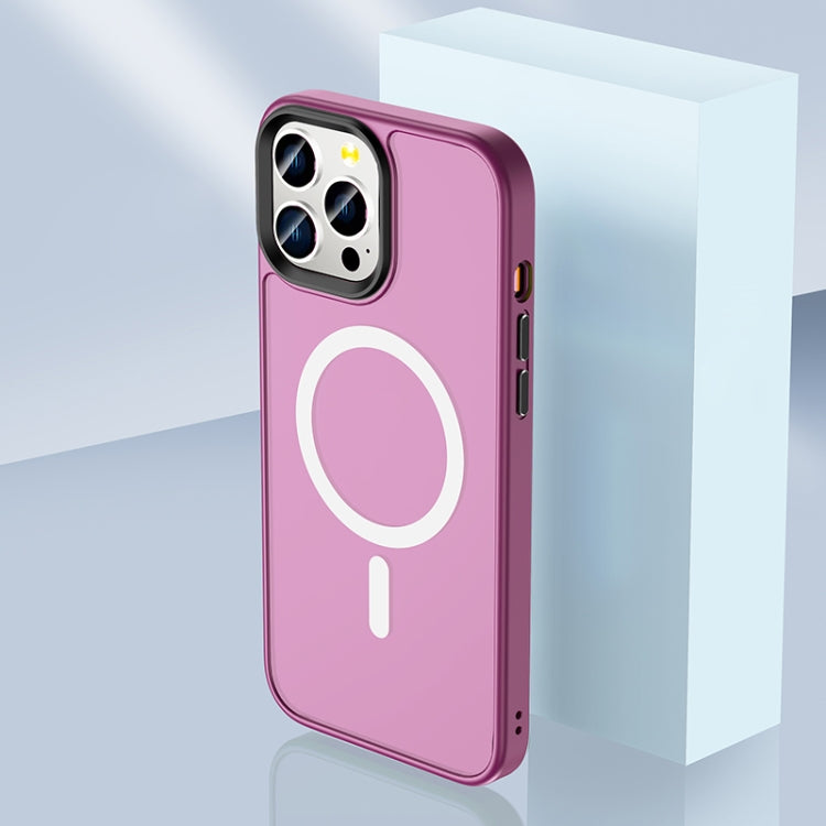 Skin Feel TPU + Frosted PC MagSafe Phone Case, For iPhone 13 Pro Max, For iPhone 13 Pro, For iPhone 13, For iPhone 12 Pro Max, For iPhone 12 Pro, For iPhone 12