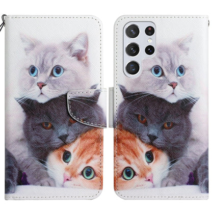 Painted Pattern Horizontal Flip Leather Phone Case, For Samsung Galaxy S22 5G, For Samsung Galaxy S22+ 5G, For Samsung Galaxy S22 Ultra 5G