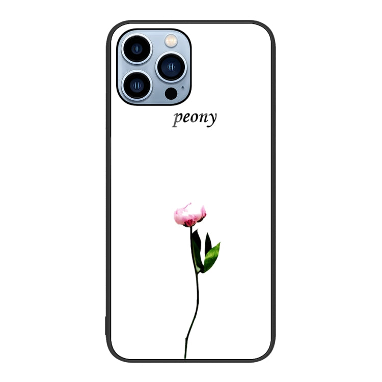 Colorful Painted Glass Phone Case, For iPhone 14 Pro Max, For iPhone 14 Pro, For iPhone 14 Plus