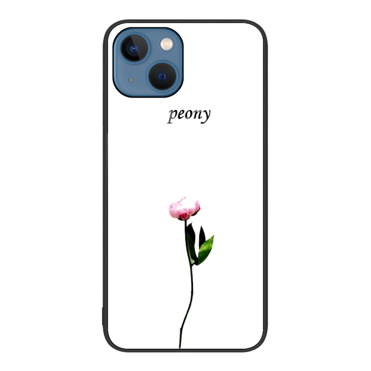 Colorful Painted Glass Phone Case, For iPhone 14 Pro Max, For iPhone 14 Pro, For iPhone 14 Plus