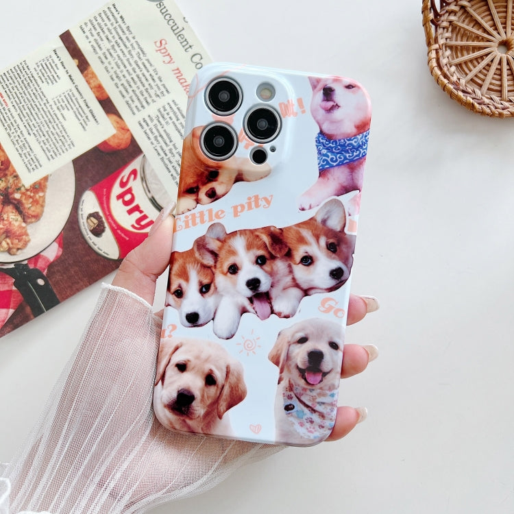 PC Phone Case, For iPhone 13, For iPhone 12 Pro Max, For iPhone 12 Pro, For iPhone 12, For iPhone 11 Pro Max, For iPhone 11