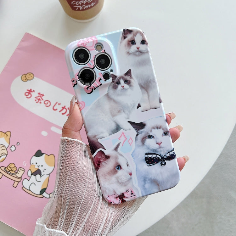 PC Phone Case, For iPhone 13, For iPhone 12 Pro Max, For iPhone 12 Pro, For iPhone 12, For iPhone 11 Pro Max, For iPhone 11