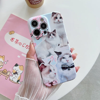 PC Phone Case, For iPhone 13, For iPhone 12 Pro Max, For iPhone 12 Pro, For iPhone 12, For iPhone 11 Pro Max, For iPhone 11