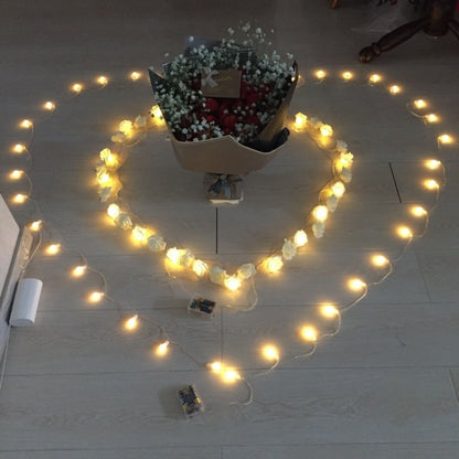 20 LEDs Teenage Style Warm Fairy Decorative Lamp for Christmas, Wedding, Bedroom, Rose