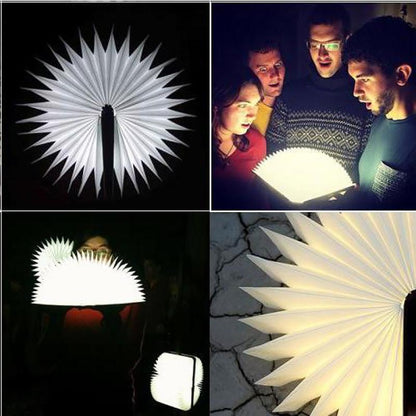 FS-LED01 500 lumens , wooden Material