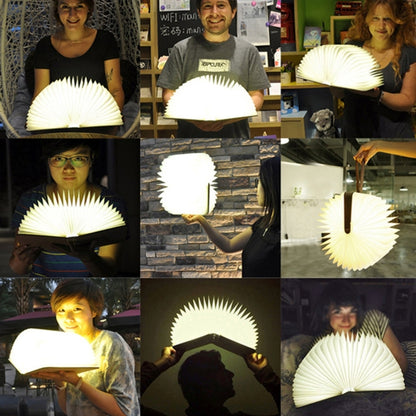 FS-LED01 500 lumens , wooden Material