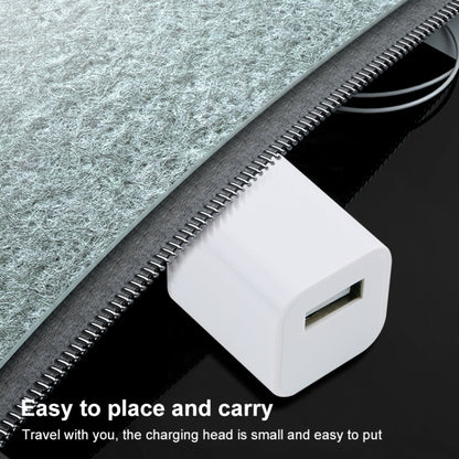 A2165 5V 1A Single USB Interface Mini Travel Charger, US Plug, AU Plug, EU Plug, US Plug