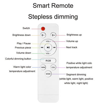 Remote Control Bluetooth LED Ceiling Lamp RGB Music Rhythm Color Changing Lamp, 33cm